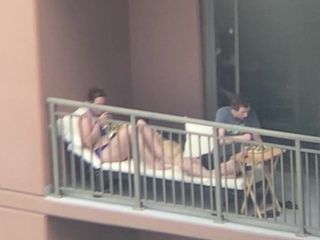 Cougar sunbathing on balcony