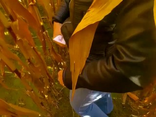 Orgasm in 30 seconds. Dt fucky-fucky and fucky-fucky in corn